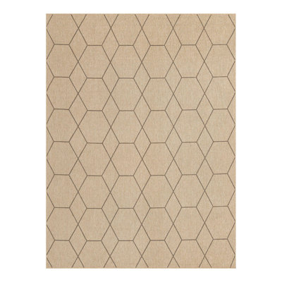 Geometric Indoor Rug