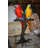 Two Large Parrots on a tree - Bronze Statue -  Size: 43"L x 28"W x 67"H. 
