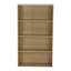 Ellii 105.9cm H x 59.9cm W Standard Bookcase