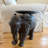Destiney Elephant End Table
