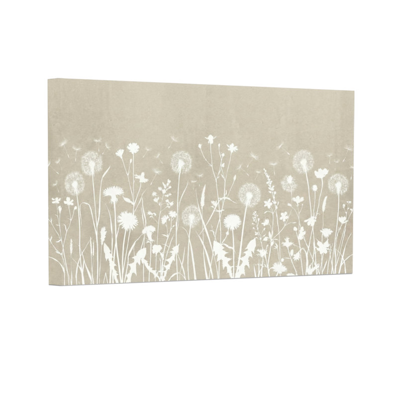Plantes et fleurs fleurs blanches sur fond beige, H 12 po x l 18 po