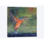 « kingfisher », impression sur toile-33109460-72398047-72398042