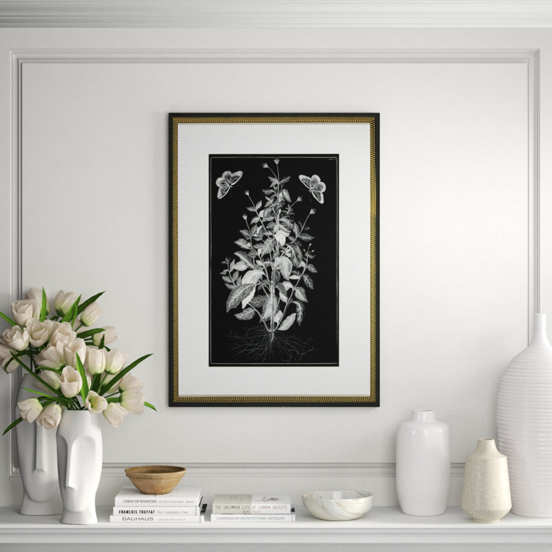 Butterfly Botanical I Print