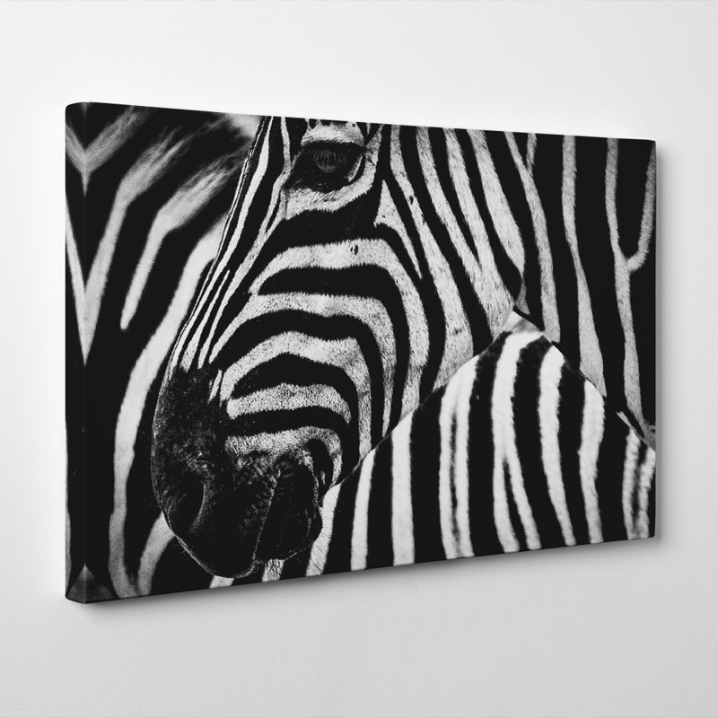 Wrapped Canvas Print, 50cm H x 76cm W