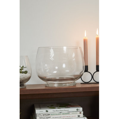Discovery Terrarium