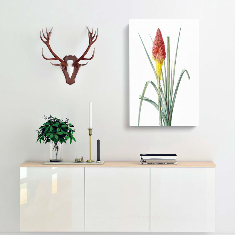 Hot Poker Flower by Pierre-Joseph Redoute - Wrapped Canvas Print, 60cm H x 40cm W x 3cm D