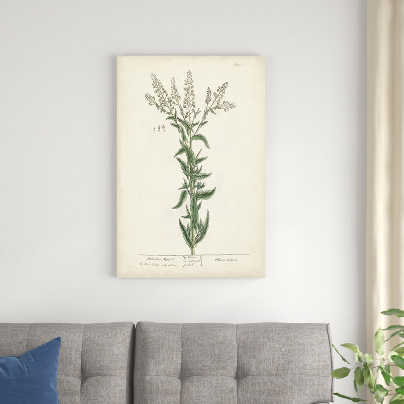 Herbes antiques IV, H 36 po x l 24 po