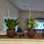 Customer photo 3 of 3
