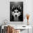 Brampt Serious Siberian Husky-108424297