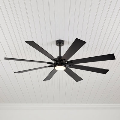 Ceiling Fan