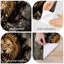 Peler et coller le papier peint Lion féroce brisant le mur fissuré, expression murale, auto-adhésif et amovible-1107441199