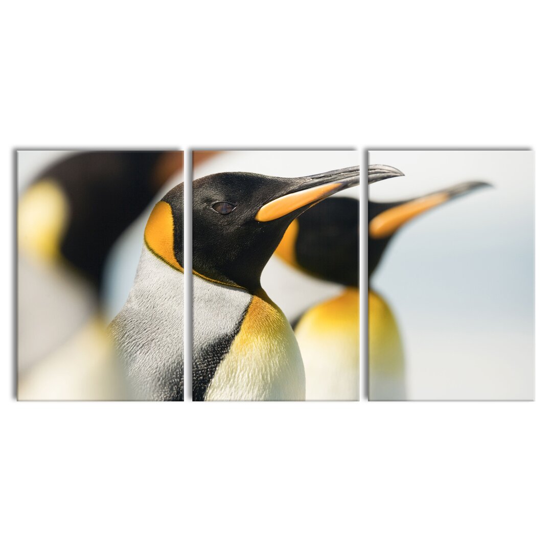 3-tlg. Leinwandbilder-Set Pinguine