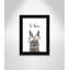 Le lapin est courage-48163492-48169697