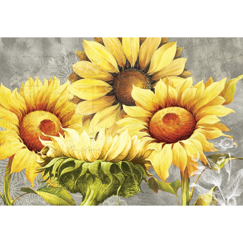 Sunflower Cluster II - Painting Print, 51 cm H x 76 cm W, Black Floater Framed