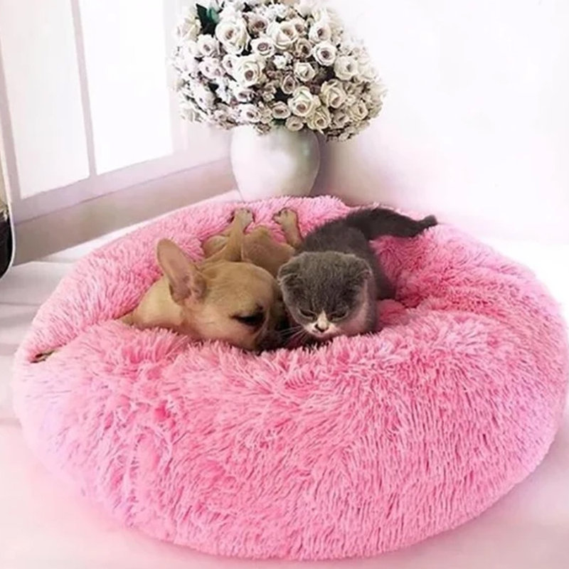 Coussin Azalee / classique, Petit (l 24 po x P 24 po x H 5 po)