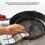  Cast Iron Skillet Non-Stick Omelette Frypan-1649992410