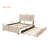Velvet Upholstered Platform Bed with Trundle-106492948-112511389