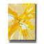  'Sunburst' by Danhui Nai Canvas Wall Art-1147736281