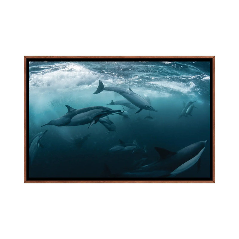 Dolphine Run by Andrey Narchuk - Print on Canvas