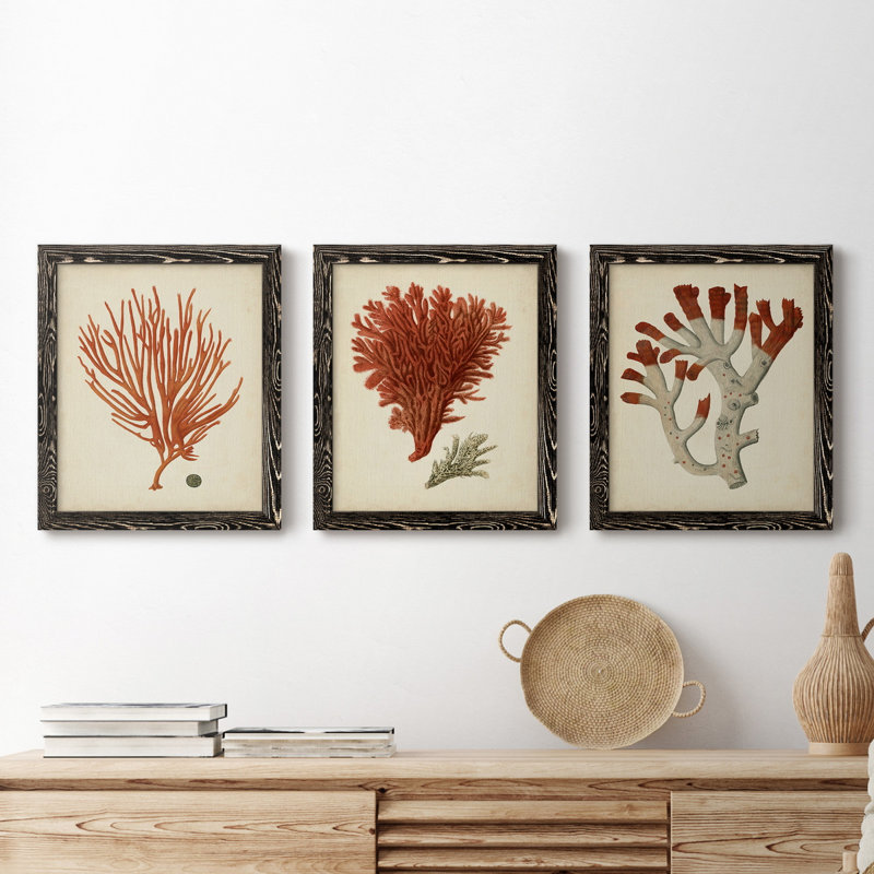 Antique Red Coral IV - Ensemble de 3 peintures sur toile encadrées, H 24 po x l 36 po x P 1,5 po, Toile avec cadre noir