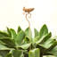 Hand-Finished Metal Stake Birdbath with Decorative Bird Design and Weathered Rust Finish for Outdoor Use