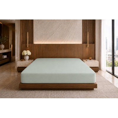 Belledorm Plain Dye 200 TC Egyptian-Quality Cotton 100% Cotton Fitted Sheet