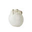 Sand Dollar Vase-White-Sm-1791142182