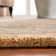 Molter Hand Tufted Wool Floral Rug