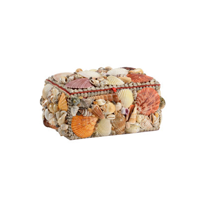 Shell Decorative Box