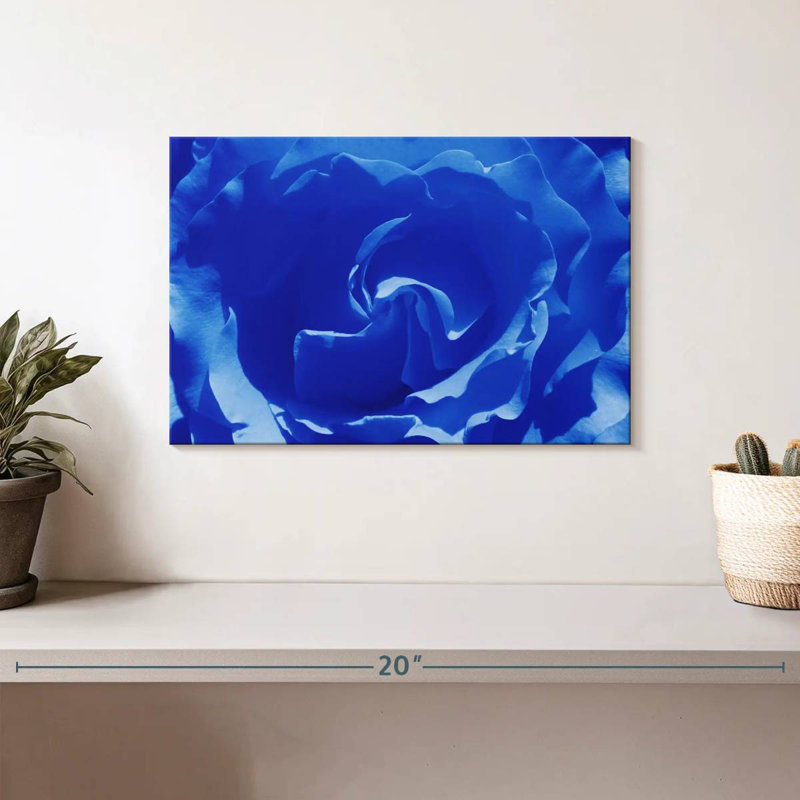 Macro bleue Hardie