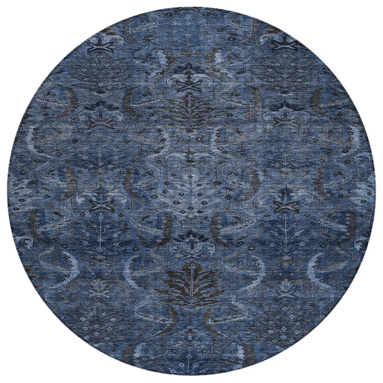 Segin Area Rug with Non-Slip Backing