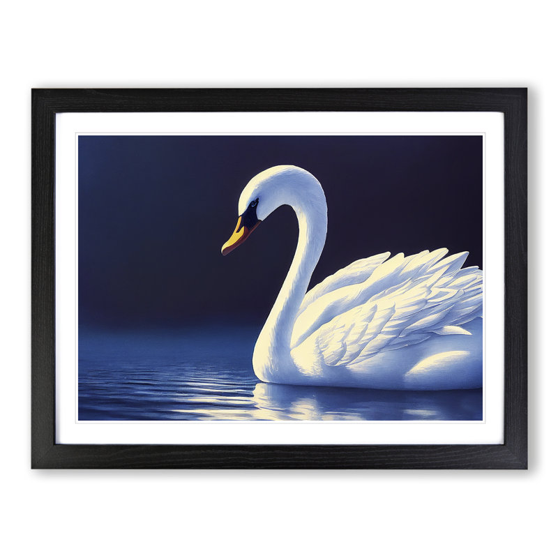 Ravishing Swan - Single Picture Frame Print, Black Framed, 46cm H x 64cm W x 2cm D
