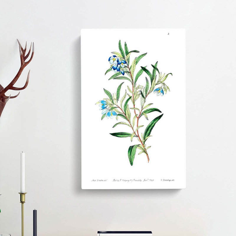 Bluebell Flowers - Wrapped Canvas Painting, 50cm H x 35cm W x 3cm D
