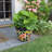 Handmade Ceramic Pot Planter-109691242
