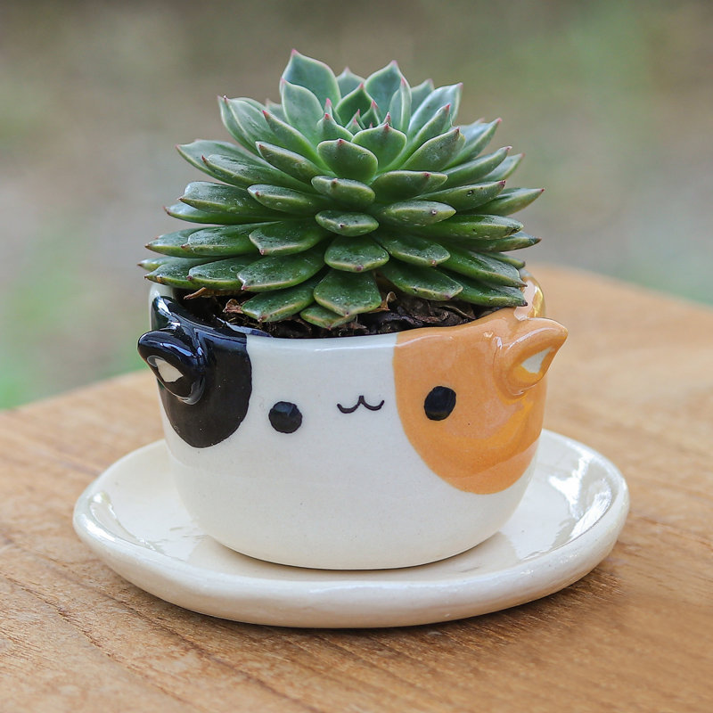 Zoomie Kids Handmade Kitty Enchantment Ceramic Mini Flower Pot