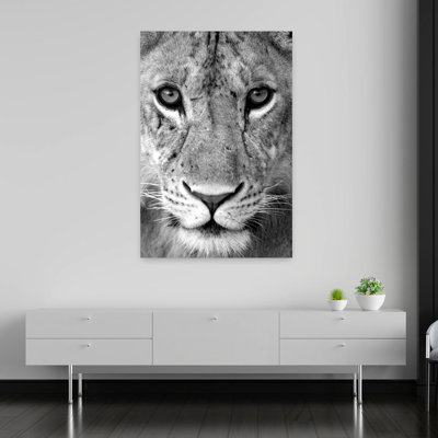 Gros plan sur une lionne Panthera, parc national Leo Tarangire, Tanzanie, art contemporain