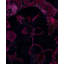 Overdyed Hand-Knotted Wool Modern-Contemporary Purple Runner 2' 1" x 6' 2"