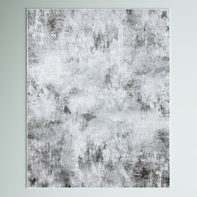 Samina Vintage Iced Marble Area Rug