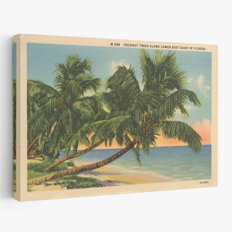 Carte postale de la Floride III - art des cocotiers de la côte côtière de la Floride, H 40 po x l 60 po