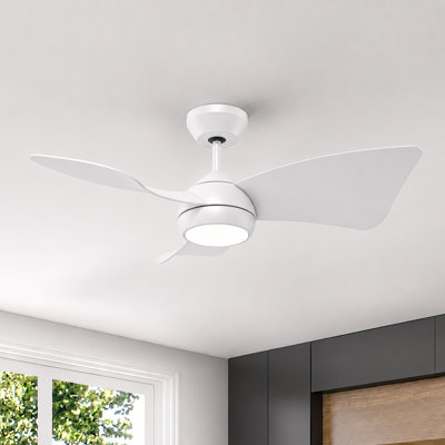 30" Small Ceiling Fan with Light & Remote – High Airflow Low Noise Reversible DC Motor – Modern Ceiling Fan for Nursery, Small Rooms, Bedroom & Kitchen