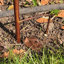 Evelina Animals Metal Garden Statue