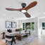 Ceiling Fan-1618894205