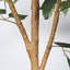 Ficus artificiel de 6 pi avec tronc de bois naturel véritable, fausse plante de ficus réaliste dans un pot en plastique noir, faux arbre d'intérieur réaliste pour la décoration de salon de bureau à domicile
