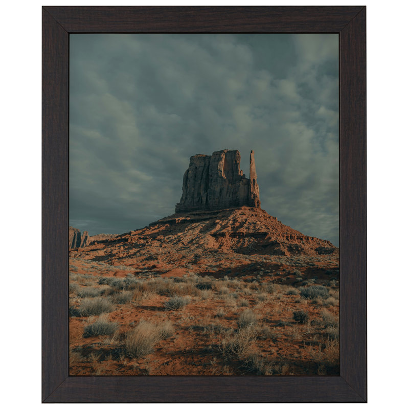 Veilleux Single Image Picture Frame, Rectangle, 22" W x 28" H, Brown