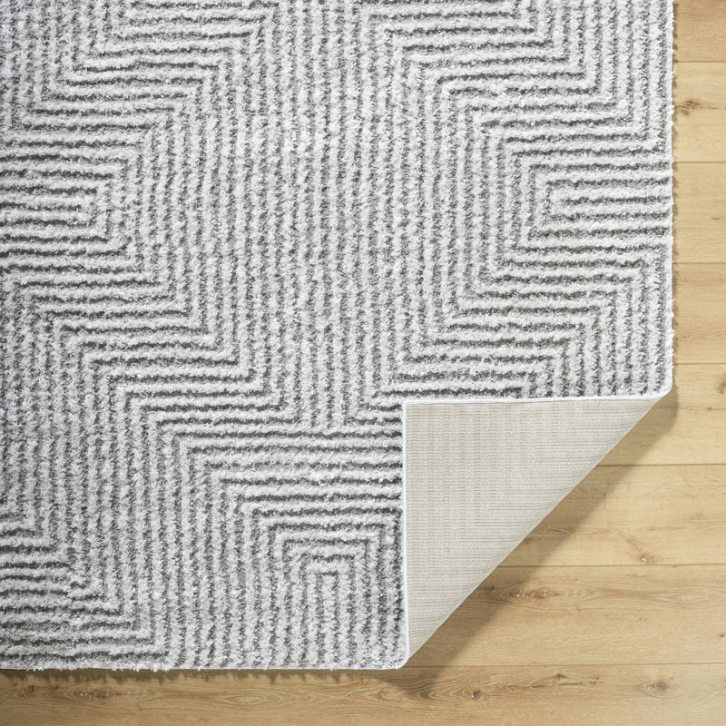 Tapis lavable à la machine Kellen, Rectangle 5 pi 3 po x 7 pi