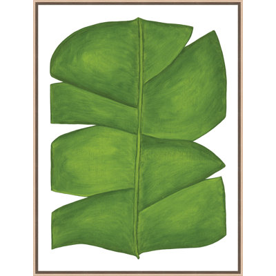 Botanicus Nulla 1 Framed Acrylic Painting Print Canvas