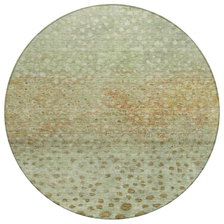 Chayil Area Rug with Non-Slip Backing
