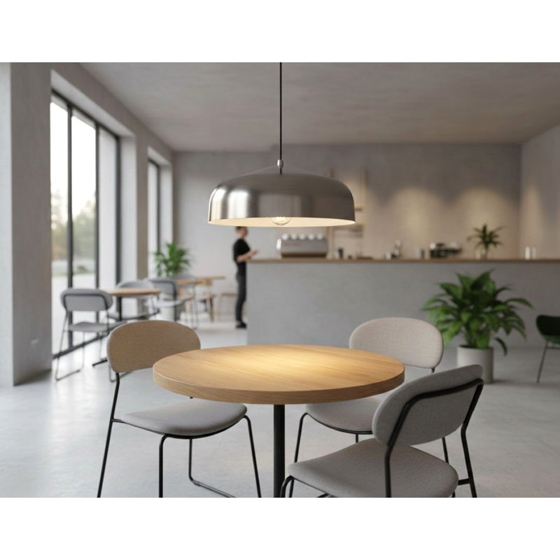 1 - Light Dome Pendant, Brushed Steel