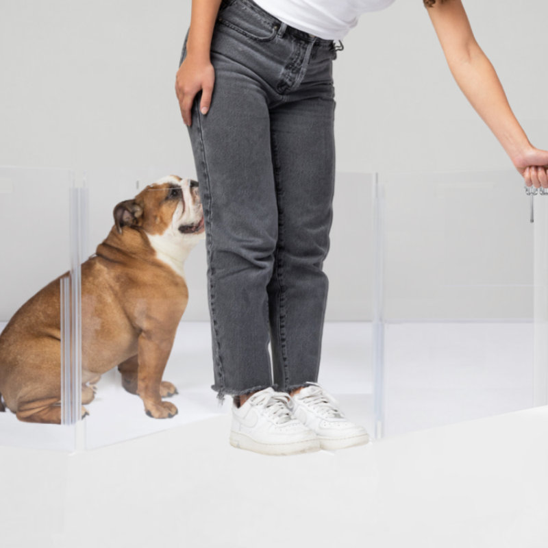 Clear Wall Mounted Low Zig Zag Pet Gate with Latch, Silver, 4 Panel