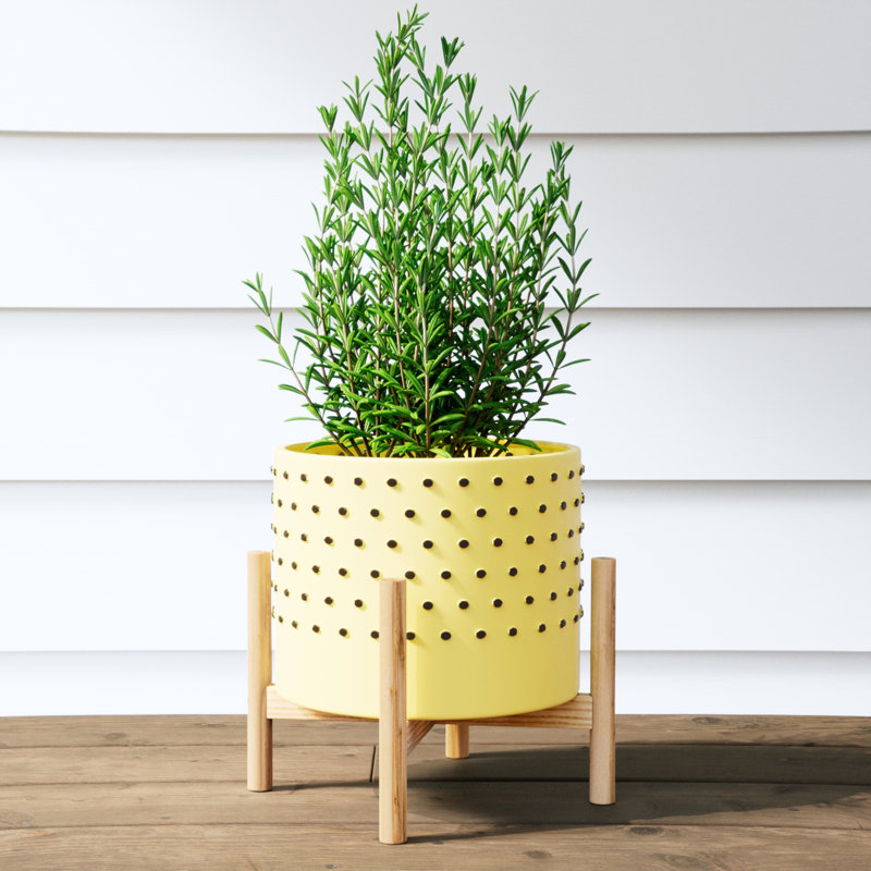 Ensemble de 3 pots en grès cérame avec supports en bois, H 8 po x l 10 po x P 10 po, Jaune